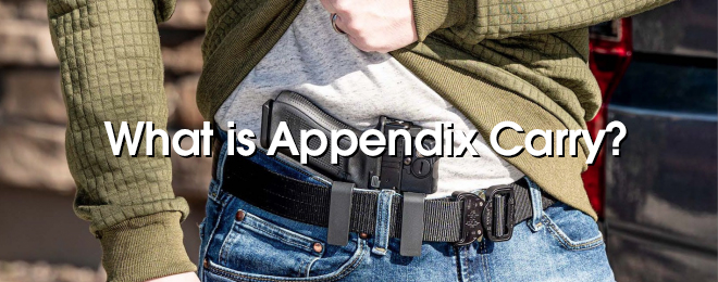 Guide To Appendix Carry, 59% OFF
